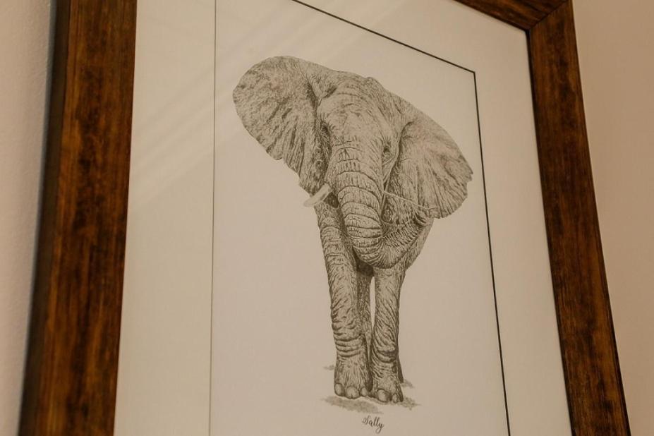 Knysna Elephant Park Lodge Plettenbergbaai Buitenkant foto