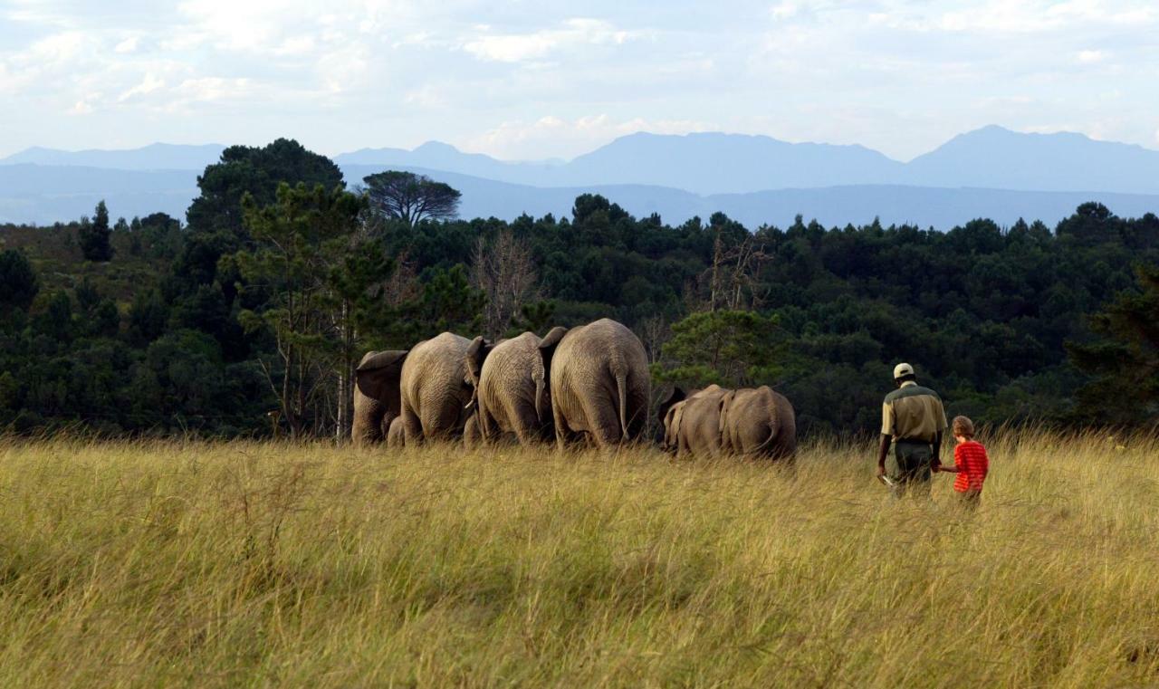 Knysna Elephant Park Lodge Plettenbergbaai Buitenkant foto