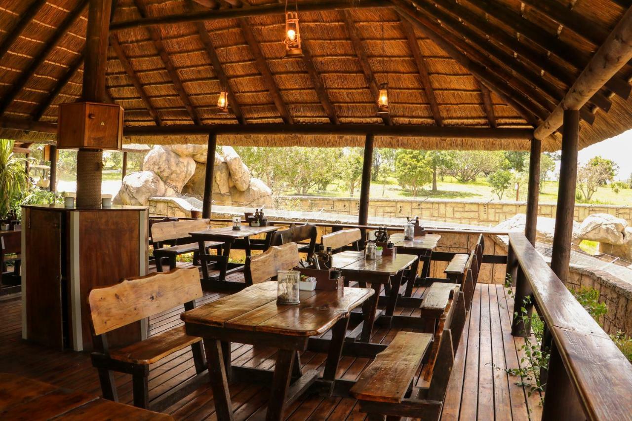 Knysna Elephant Park Lodge Plettenbergbaai Buitenkant foto